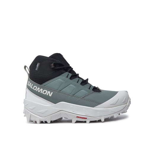 Trekkingi Salomon Crosstrak Waterproof L47570400 Zielony ze sklepu eobuwie.pl w kategorii Buty trekkingowe damskie - zdjęcie 182065798