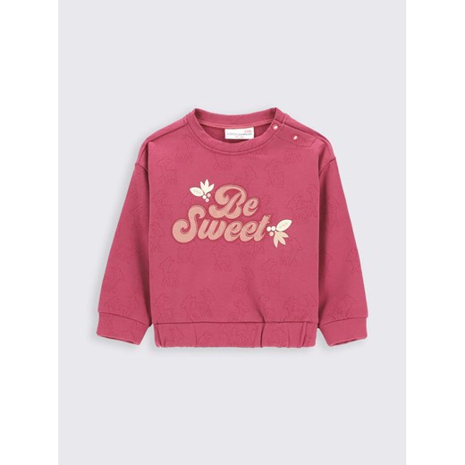 Coccodrillo Bluza ZC2132101WON Różowy Regular Fit ze sklepu MODIVO w kategorii Bluzy i swetry - zdjęcie 182601907
