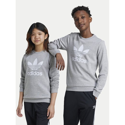 adidas Bluza Trefoil IY7436 Szary Regular Fit ze sklepu MODIVO w kategorii Bluzy chłopięce - zdjęcie 182731237