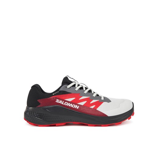 Salomon Buty do biegania Alphaglide Gore-Tex L47802200 Szary ze sklepu MODIVO w kategorii Buty sportowe męskie - zdjęcie 182733795