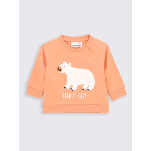 Coccodrillo Bluza ZC2143105ARN Pomarańczowy Regular Fit ze sklepu MODIVO w kategorii Bluzy i swetry - zdjęcie 182736238
