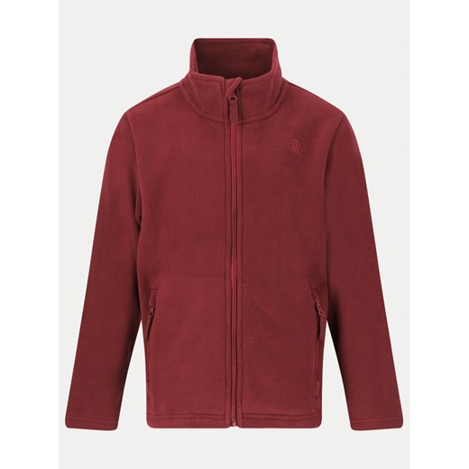 ZigZag Polar Zap Fleece Z211077 Fioletowy Regular Fit ze sklepu MODIVO w kategorii Bluzy dziewczęce - zdjęcie 182749988