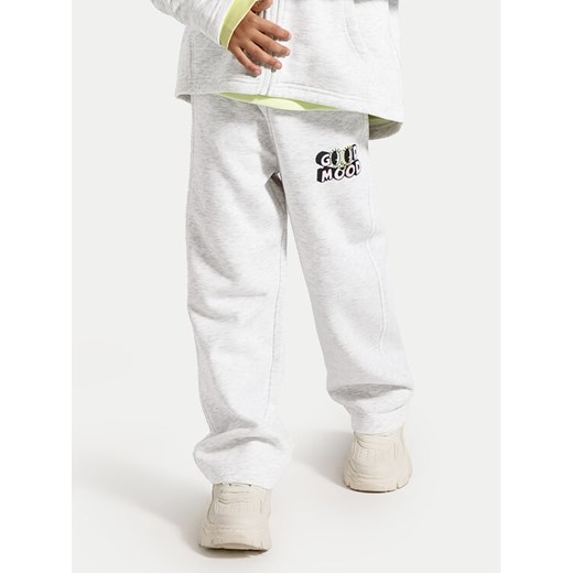 Coccodrillo Spodnie dresowe ZC4120201CGK Szary Regular Fit ze sklepu MODIVO w kategorii Spodnie chłopięce - zdjęcie 182753565