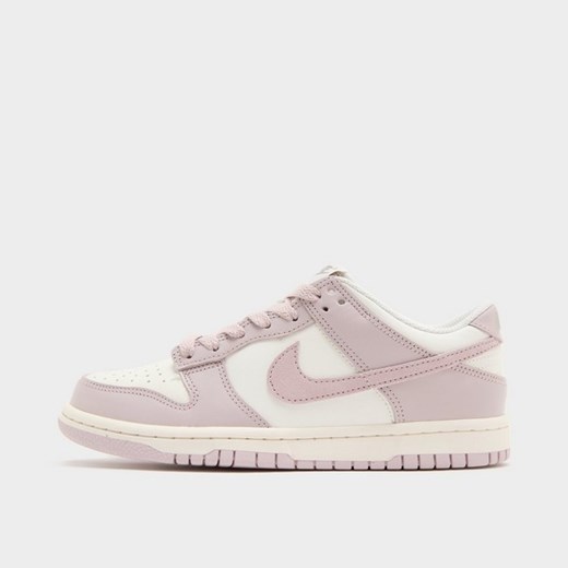 NIKE DUNK LOW BG ze sklepu JD Sports  w kategorii Buty sportowe damskie - zdjęcie 183553146