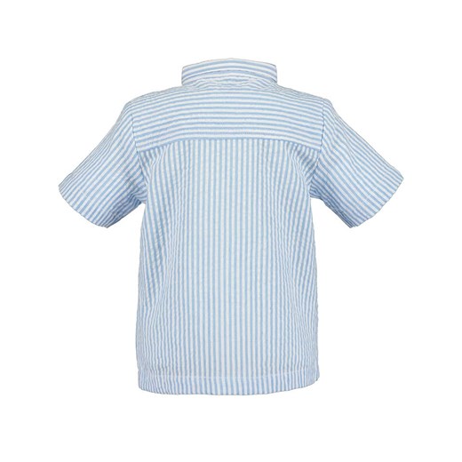 Odzież dla niemowląt BLUE SEVEN niebieska bawełniana 