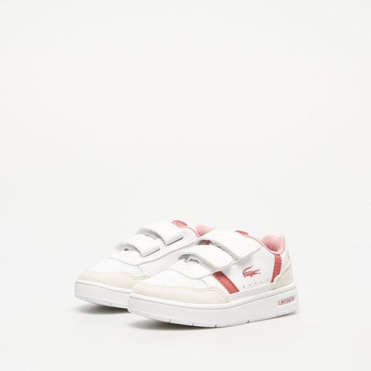 LACOSTE T-CLIP Lacoste 35,5 okazyjna cena Symbiosis