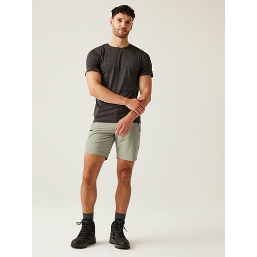 Spodenki męskie Regatta 