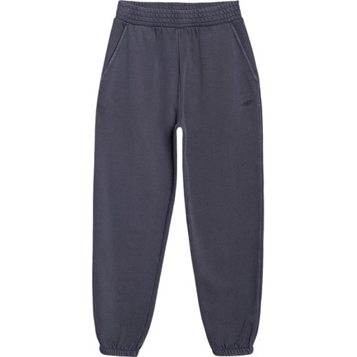 Spodnie dresowe damskie TTROF1123 4F ze sklepu SPORT-SHOP.pl w kategorii Spodnie damskie - zdjęcie 183850945
