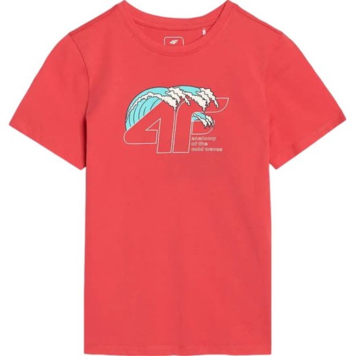 Koszulka chłopięca TTSHM1917 4F ze sklepu SPORT-SHOP.pl w kategorii T-shirty chłopięce - zdjęcie 183850957