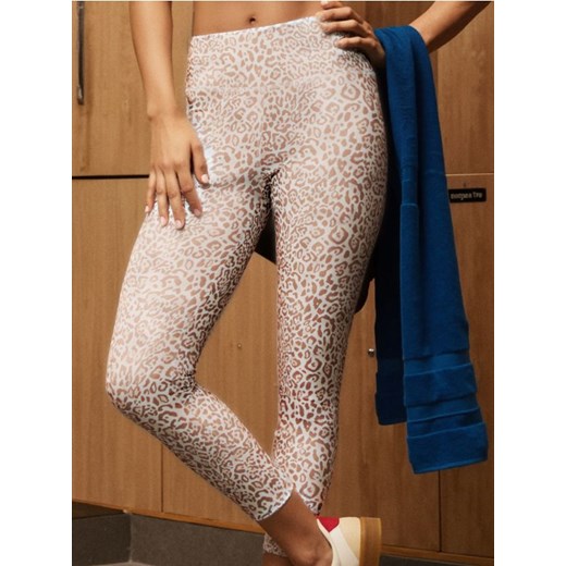 Sinsay - Legginsy w panterkę Gym Hard - wielobarwny ze sklepu Sinsay w kategorii Spodnie damskie - zdjęcie 183896398