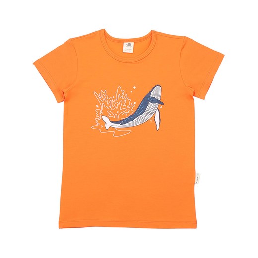 Walkiddy Koszulka w kolorze pomarańczowym ze sklepu Limango Polska w kategorii T-shirty chłopięce - zdjęcie 183920529