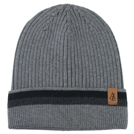 Jesienno-Zimowa Czapka (beanie) – Alties - Kolor Stalowy CPAALTSbeanie10POPpasCZA ze sklepu JegoSzafa.pl w kategorii Czapki zimowe męskie - zdjęcie 183923588