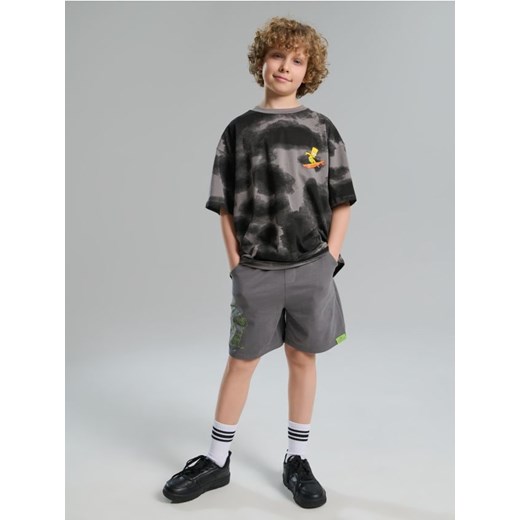 Sinsay - Koszulka z nadrukiem na plecach The Simpsons - szary ze sklepu Sinsay w kategorii T-shirty chłopięce - zdjęcie 183937097