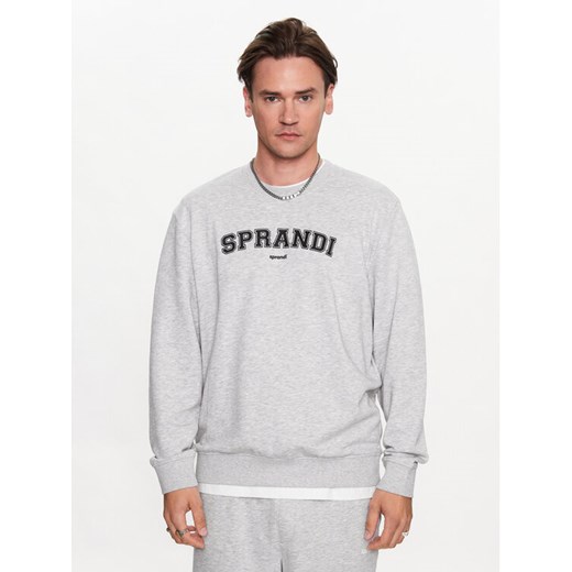 Sprandi Bluza SP3-BLM042 Szary Regular Fit Sprandi S MODIVO