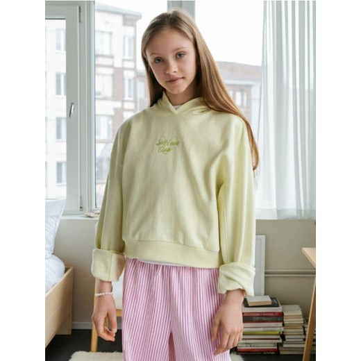 Sinsay - Bluza z haftem - zielony ze sklepu Sinsay w kategorii Bluzy dziewczęce - zdjęcie 183998348