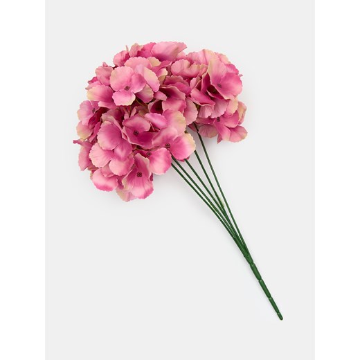 Sinsay - Roślina ozdobna - hortensja - różowy Sinsay One Size Sinsay