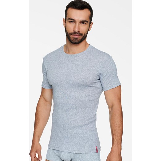 Szary t-shirt męski 1495-J27, Kolor szary, Rozmiar S, Henderson ze sklepu Primodo w kategorii T-shirty męskie - zdjęcie 184072556