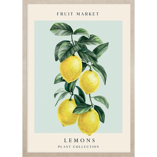 Ars Longa Druk artystyczny "Levitating lemons" w ramce - 70 x 50 cm Ars Longa onesize wyprzedaż Limango Polska
