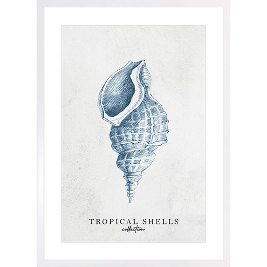 Ars Longa Druk artystyczny &quot;Tropical shell collection no. 1&quot; w ramce - 70 x 50 cm ze sklepu Limango Polska w kategorii Obrazy - zdjęcie 184166225