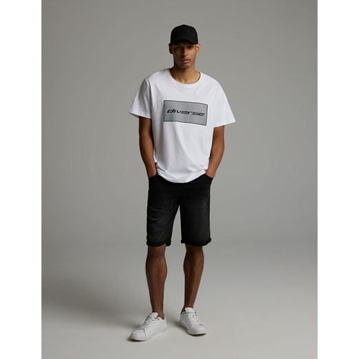 Koszulka ASHES 03 ze sklepu Diverse w kategorii T-shirty męskie - zdjęcie 184176785