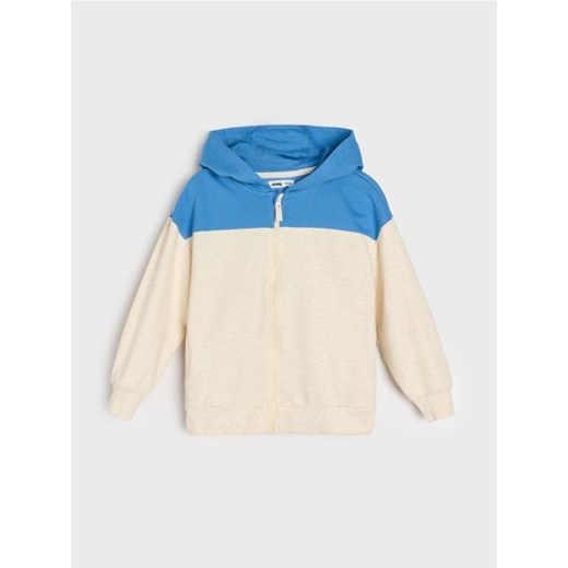 Sinsay - Bluza z kapturem - wielobarwny ze sklepu Sinsay w kategorii Bluzy chłopięce - zdjęcie 184190639