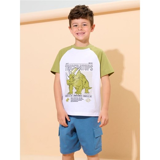 Sinsay - Komplet dzianinowy z motywem dinozaura - wielobarwny ze sklepu Sinsay w kategorii T-shirty chłopięce - zdjęcie 184190878