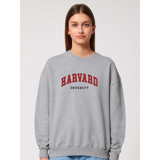 American Universities Bluza &quot;Harvard University&quot; w kolorze szarym ze sklepu Limango Polska w kategorii Bluzy damskie - zdjęcie 184217295