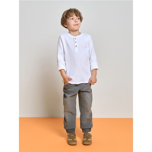 Sinsay - Jeansy joggers - szary ze sklepu Sinsay w kategorii Spodnie chłopięce - zdjęcie 184247089