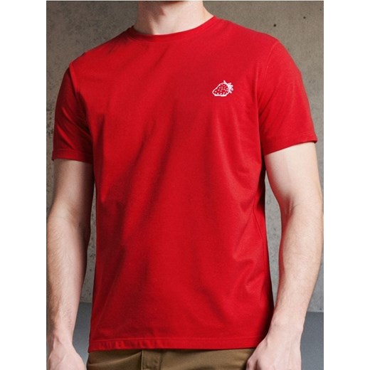 Sinsay - Koszulka - czerwony ze sklepu Sinsay w kategorii T-shirty męskie - zdjęcie 184276957