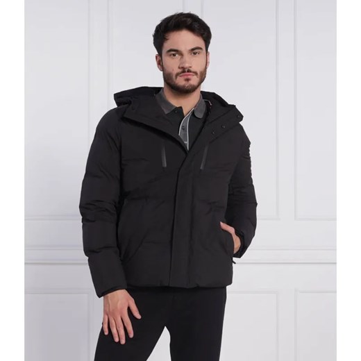 Tommy Sport Kurtka | Regular Fit ze sklepu Gomez Fashion Store w kategorii Kurtki męskie - zdjęcie 184344038