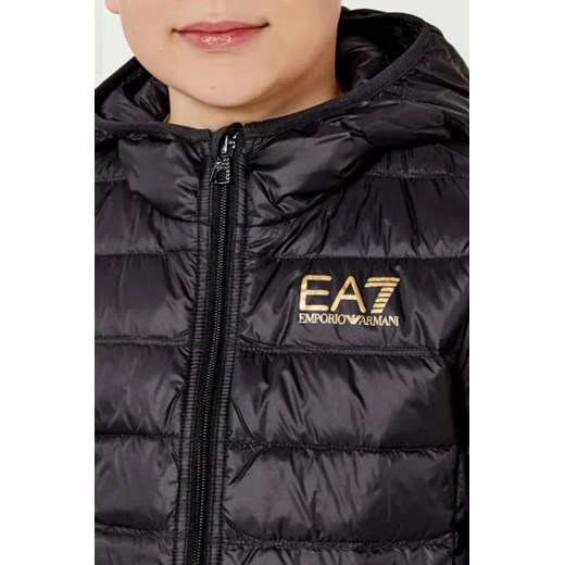 EA7 Puchowa kurtka | Regular Fit 150 Gomez Fashion Store
