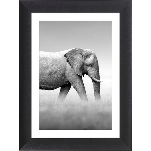 Ars Longa Druk artystyczny &quot;Walking Elephant&quot; w ramce - 70 x 50 cm ze sklepu Limango Polska w kategorii Obrazy - zdjęcie 184548638