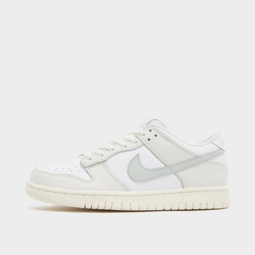 NIKE DUNK LOW BG ze sklepu JD Sports  w kategorii Buty sportowe damskie - zdjęcie 184630385