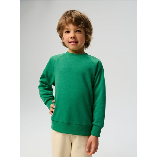 Sinsay - Bluza - zielony ze sklepu Sinsay w kategorii Bluzy chłopięce - zdjęcie 184656277