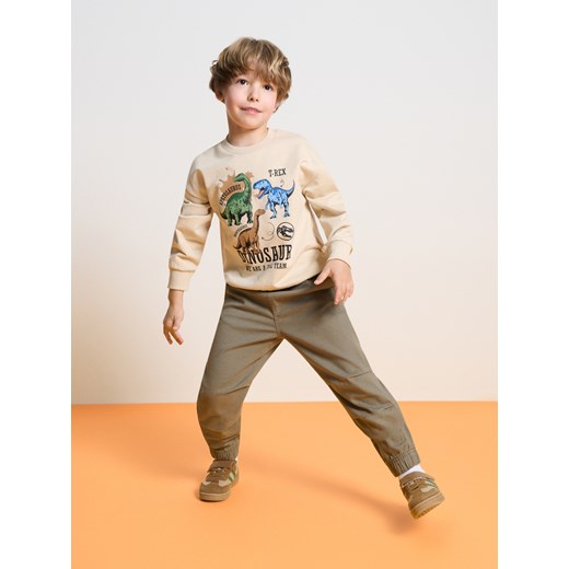 Sinsay - Bluza z dinozaurami - beżowy Sinsay 104 (3-4 l) Sinsay