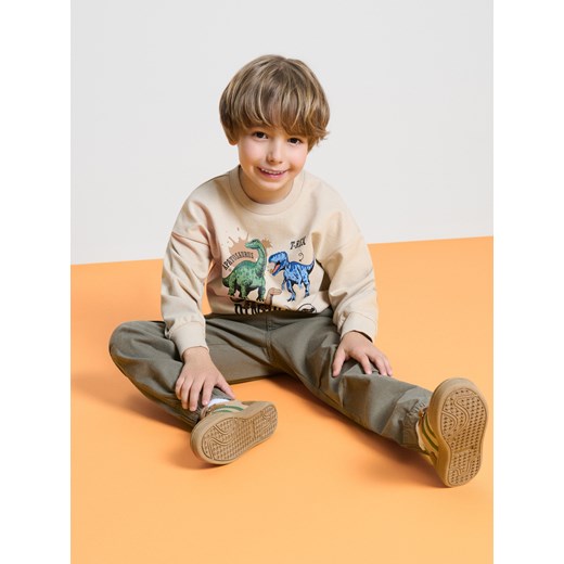 Sinsay - Bluza z dinozaurami - beżowy Sinsay 98 (2-3 l) Sinsay