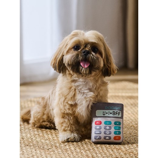 Sinsay - Zabawka dla psa kalkulator - wielobarwny Sinsay One Size Sinsay