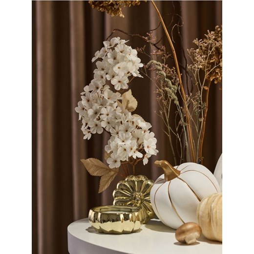 Sinsay - Roślina ozdobna - biały Sinsay One Size Sinsay