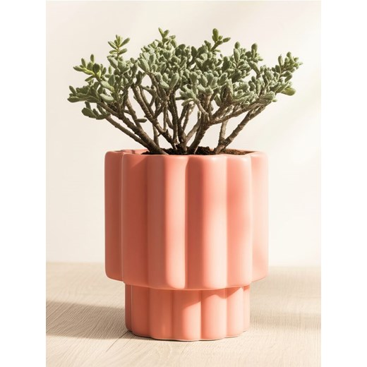 Sinsay - Ceramiczna doniczka - bordowy ze sklepu Sinsay w kategorii Doniczki i osłonki - zdjęcie 184760018