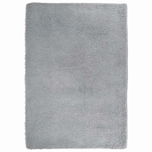 Jasnoszary prostokątny dywan 160x230 B6-E15 ze sklepu Edinos.pl w kategorii Dywany - zdjęcie 184774328