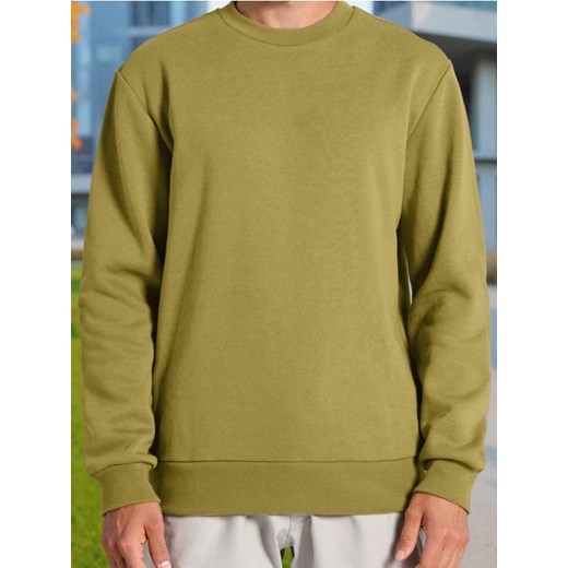 Sinsay - Bluza z długimi rękawami - zielony ze sklepu Sinsay w kategorii Bluzy męskie - zdjęcie 184783015