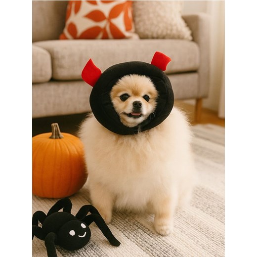 Sinsay - Halloweenowy kostium dla psa i kota - czarny ze sklepu Sinsay w kategorii Dom - zdjęcie 184855855