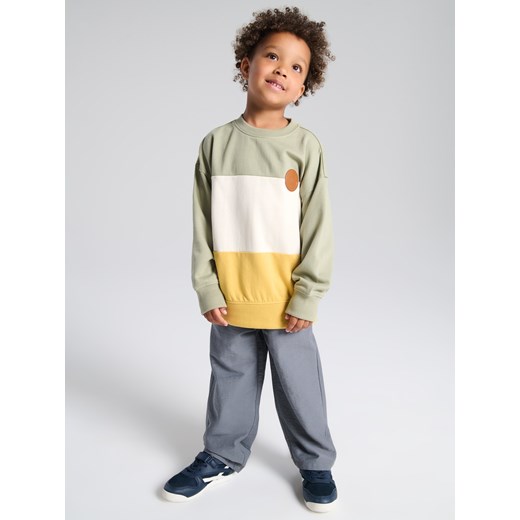 Sinsay - Bluza crewneck - wielobarwny Sinsay 122 (6-7 l) Sinsay