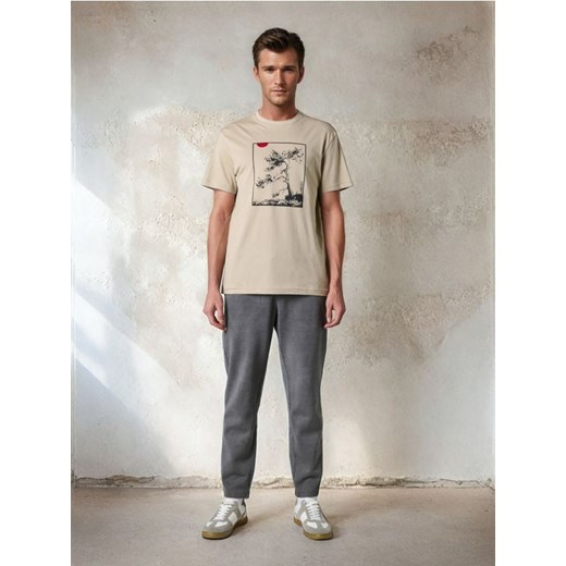 Sinsay - Koszulka - Inny ze sklepu Sinsay w kategorii T-shirty męskie - zdjęcie 184904648
