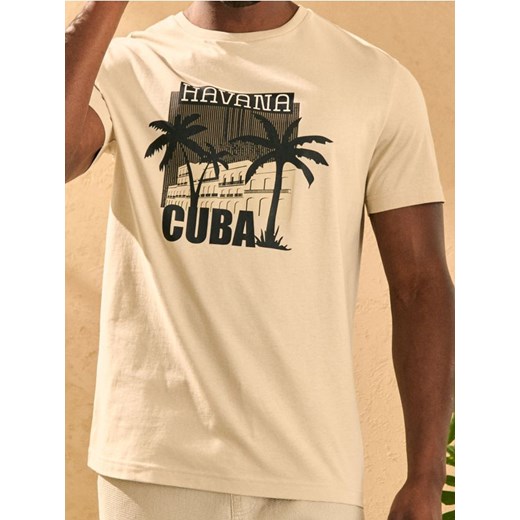 Sinsay - Koszulka z nadrukiem o motywie roślinnym - beżowy ze sklepu Sinsay w kategorii T-shirty męskie - zdjęcie 184923876