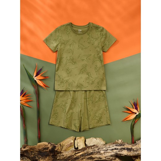 Sinsay - Piżama dwuczęściowa z motywem dinozaurów - zielony Sinsay 134 (8-9 l) Sinsay