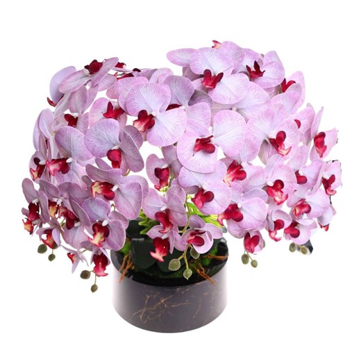 Fioletowo biały storczyk orchidea Premium 6 pędów 65 cm K118 Pantofelek24 65 cm Pantofelek24.pl