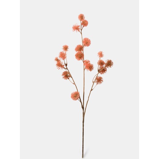 Sinsay - Roślina ozdobna - dmuchawiec - pomarańczowy Sinsay One Size Sinsay