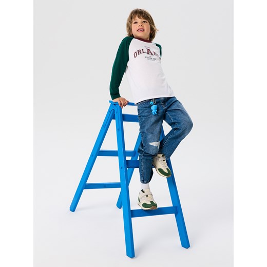 Sinsay - Koszulka z długimi rękawami - wielobarwny Sinsay 104 (3-4 l) Sinsay