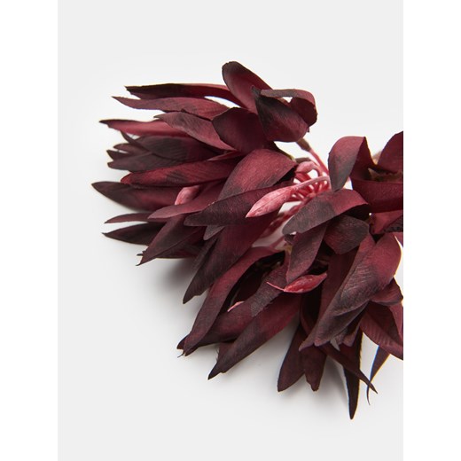 Sinsay - Roślina ozdobna w motywie jesiennym - fioletowy Sinsay One Size Sinsay